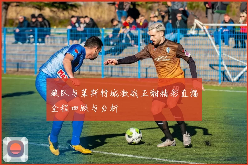 狼队与莱斯特城激战正酣精彩直播全程回顾与分析