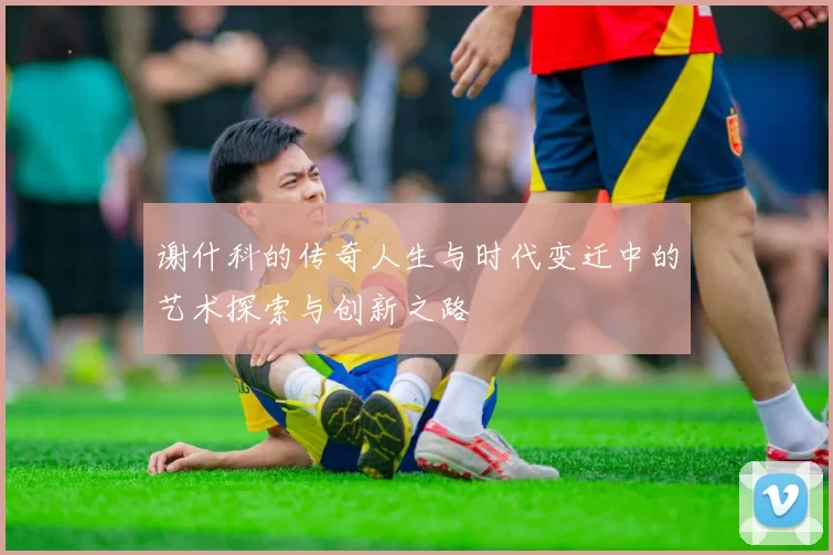 谢什科的传奇人生与时代变迁中的艺术探索与创新之路